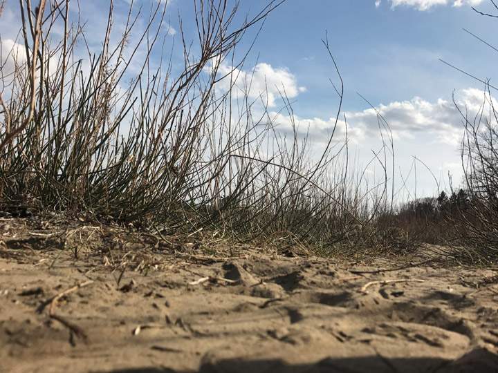 April 24: Kyriie Martell took this Your Saskatchewan photo in Saskatoon.