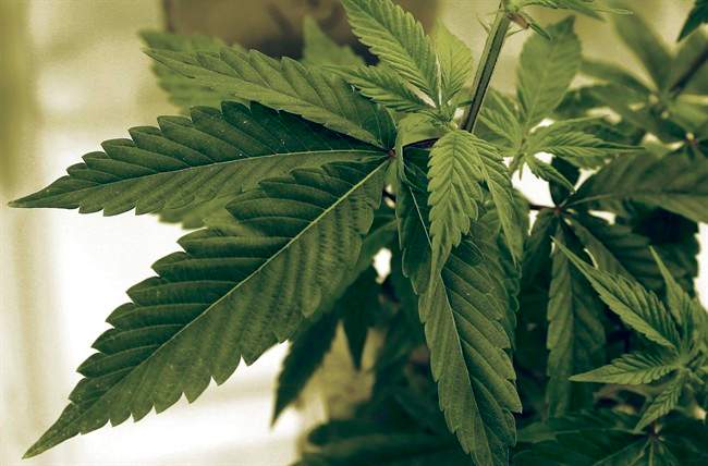Canada aims to legalize marijuana on or before July 1, 2018.