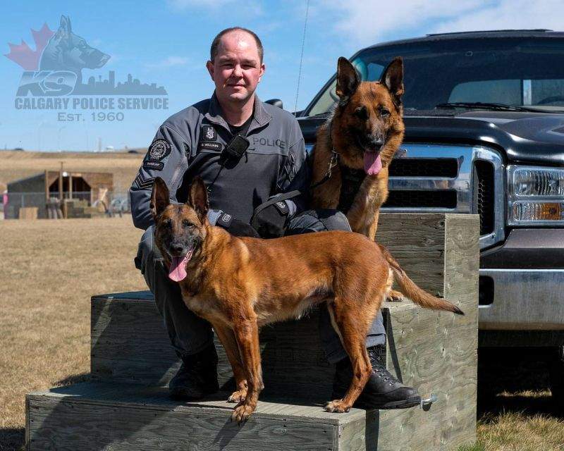 Calgary police say goodbye to Jag, Sarka and Const. Williams.