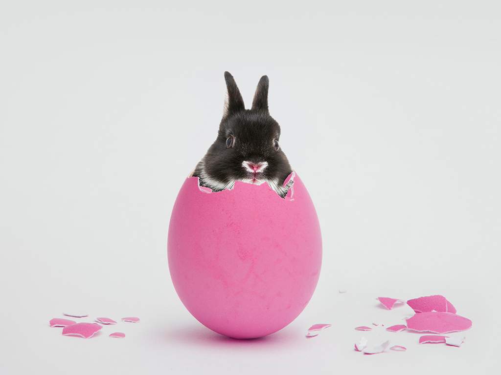 Easter fell on April 1 for the first time in over 50 years.