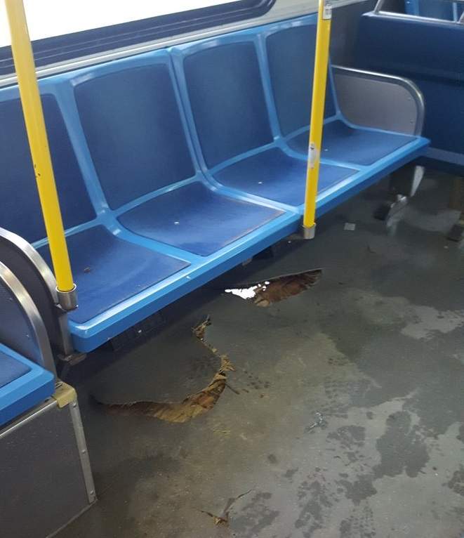 Holes located on the floor of a city bus travelling on route 20.