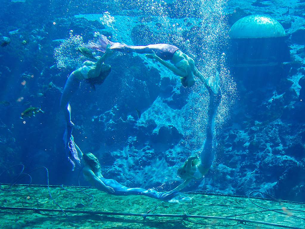 ‘Mermaids’ documentary: You’ll never look at mermaids the same again - image
