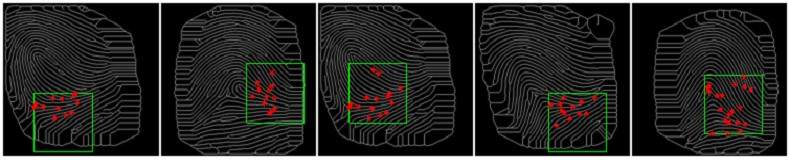 The green boxes show the locations of 5 MasterPrints detected in 5 different full fingerprints from an optical fingerprint data set.