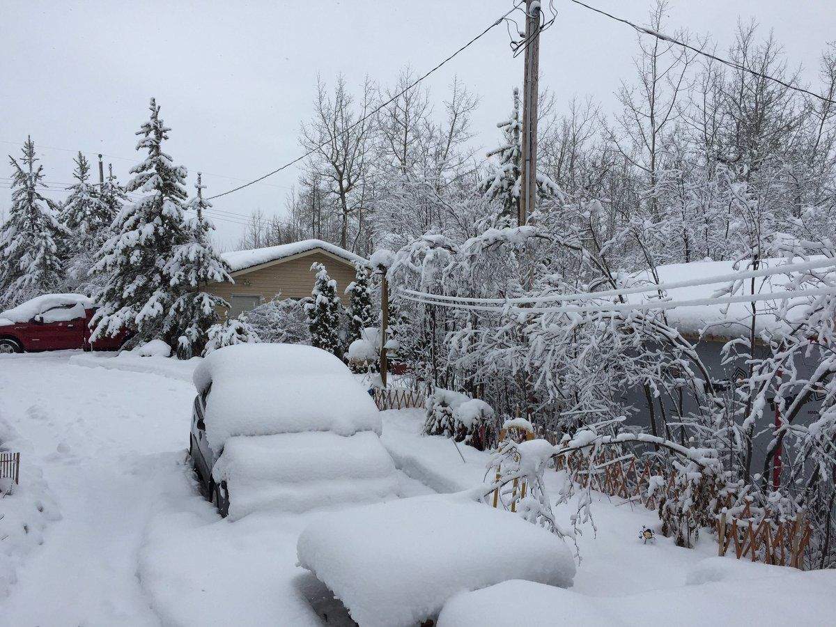 Northern Alberta was hit with a spring snowstorm, April 15, 2017.