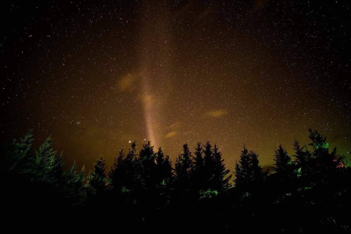 “Steve,” a new celestial phenomenon that’s been discovered in the night sky.