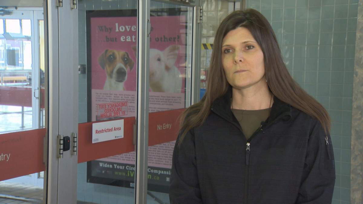 “We want to start a conversation,” Tamara Cox, president of Vegan Education Group, said in the Halifax Ferry Terminal on April 15, 2016.