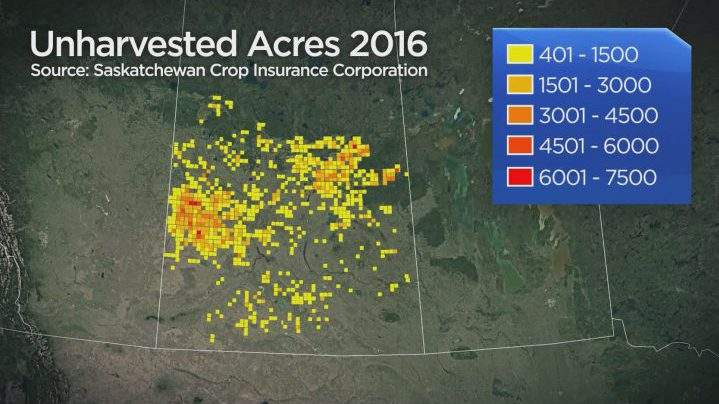 Snowfall hampers spring harvest for Sask. farmers after wet fall - image
