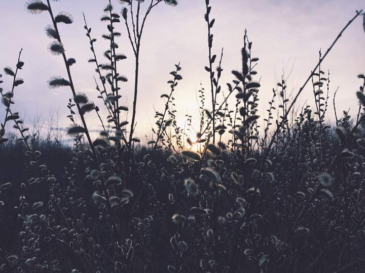 May 6: Stacie Misponas took this Your Saskatchewan photo on the English River First Nation.