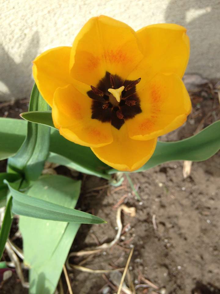 May 10: Elaine King from Saskatoon took this Your Saskatchewan photo.