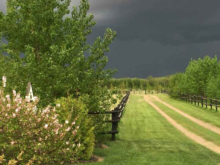May 29: Wendy Trask took this Your Saskatchewan photo south of Langham.