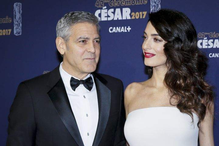 George and Amal Clooney donate $10,000 to help rescued dogs - image