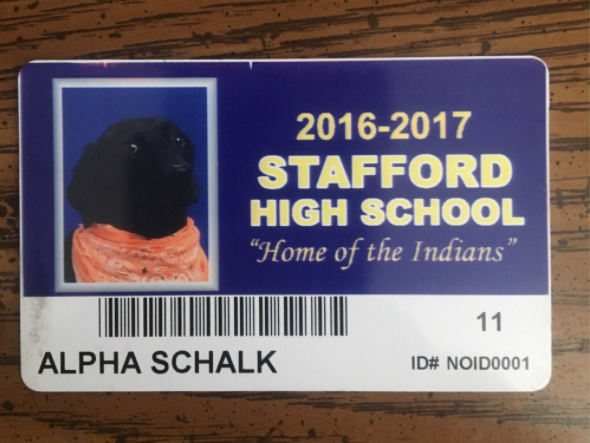Alpha’s student I.D.