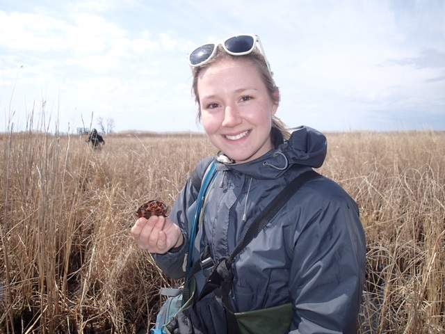 How an Ontario community set a global example for saving turtles on a deadly road - image
