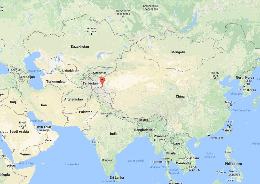 8 dead, 20 injured after earthquake hits far western China - image