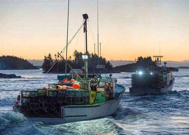 Lobster boats head from West Dover, N.S., on Tuesday, Nov. 29, 2016.