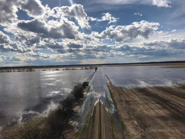 A flood warning was issued for the Whitemud River near the northern Alberta hamlet of Dixonville on Thursday afternoon.