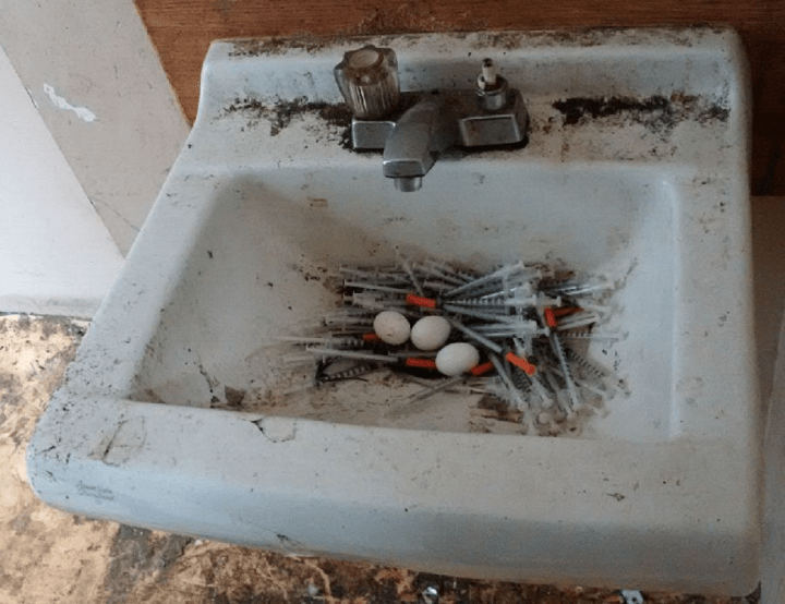 Pigeons made a nest out of needles in a DTES room.