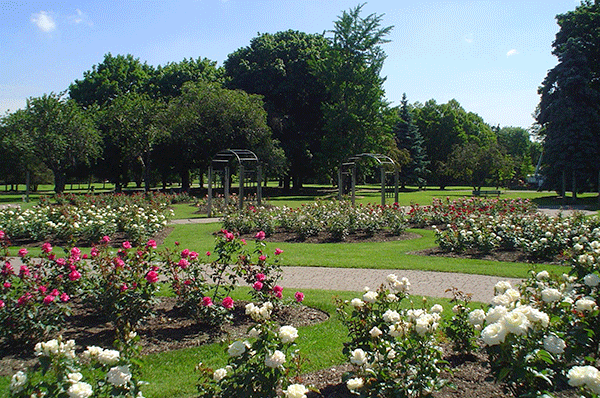 The rehabilitation of walkways at Gage Park, is among the projects to be funded through a $7.4 million federal, provincial investment in Hamilton's infrastructure.