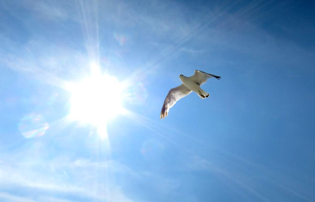 Environment Canada is forecasting a warm Victoria Day weekend in London following a cooler than normal first half of May.