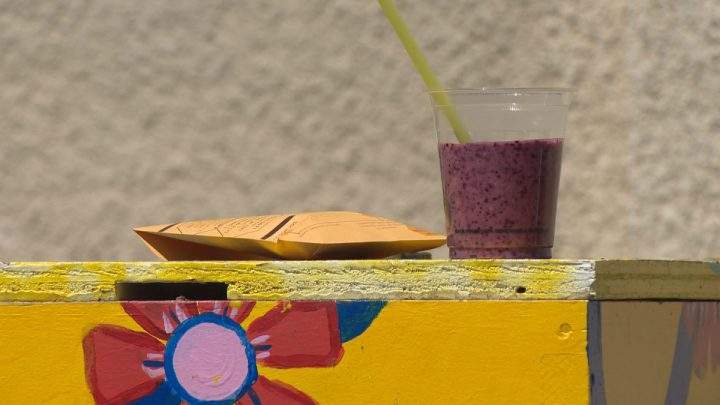 Rooftop beekeeping at Saskatoon restaurant is all the buzz on Broadway - image