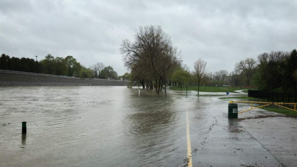 Rising water levels of the Thames River flood Harris Park on May 5th, 2017.