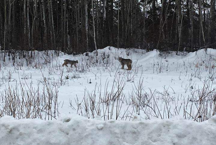 May 3: This Your Saskatchewan photo was taken by Jennifer Stewart-McGillivary at Cumberland House.