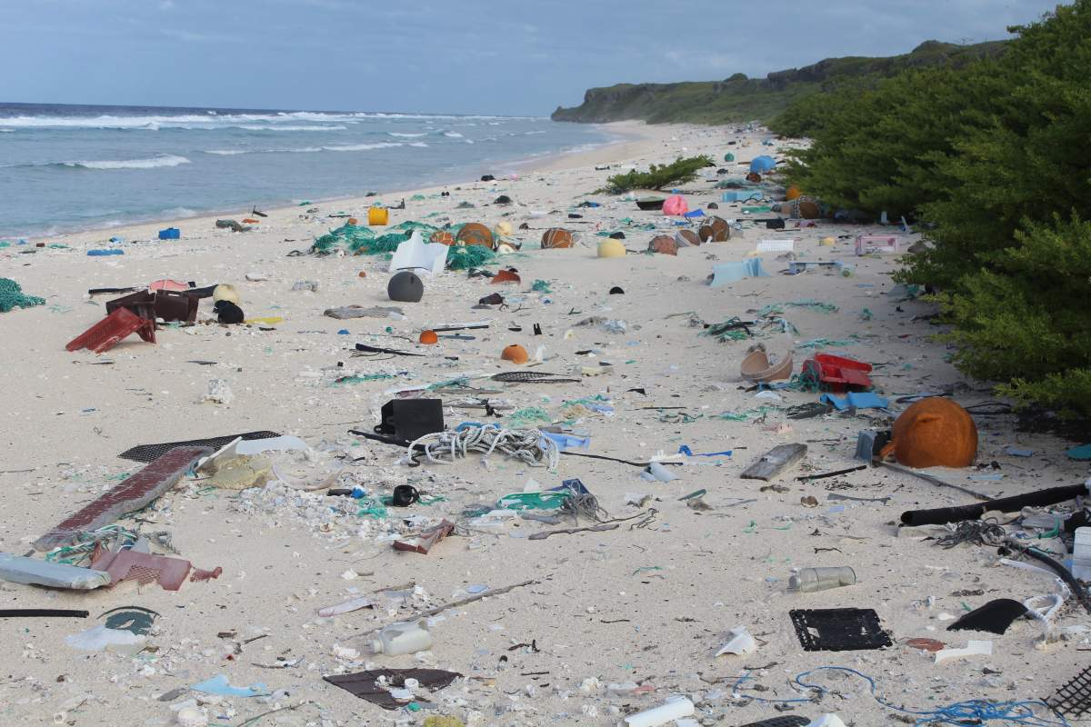 Henderson Island .