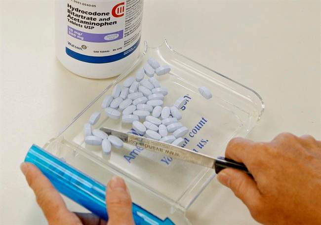 In this Aug. 5, 2010 file photo, a pharmacy tech poses for a picture with hydrocodone bitartrate and acetaminophen tablets, the generic version of Vicodin.
