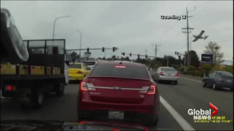 Pilot walks away from dramatic plane crash caught on dash cam - image