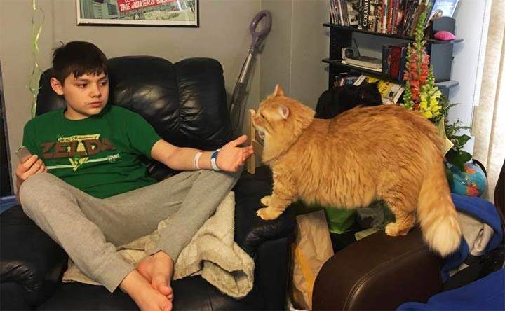 Owen and Racket spending time together at home.