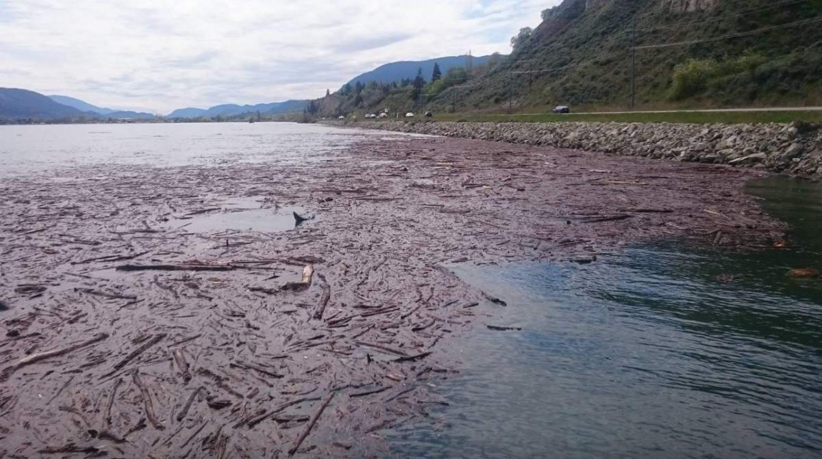 Okanagan-Similkameen braces for more flooding - image