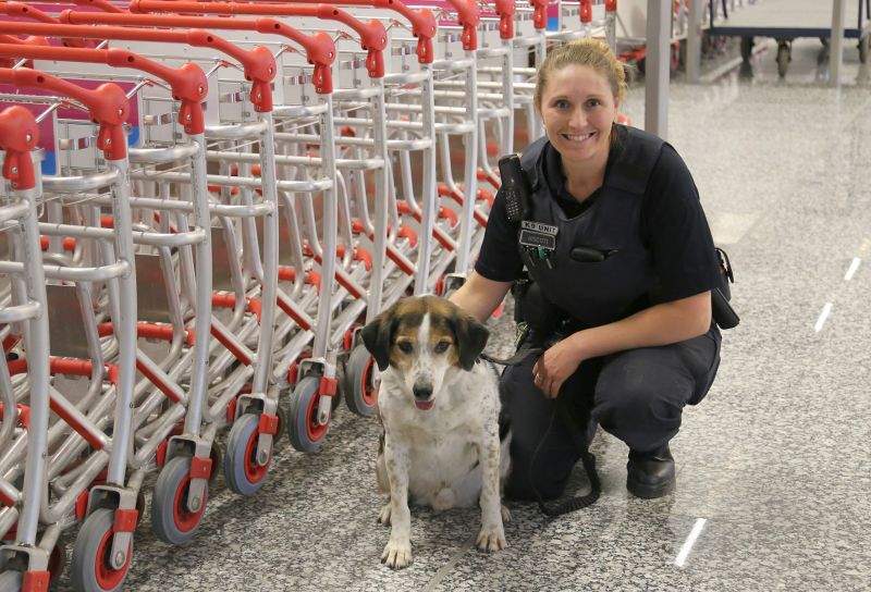 Rusty is retiring, but his handler Officer Hiscott is adopting him.