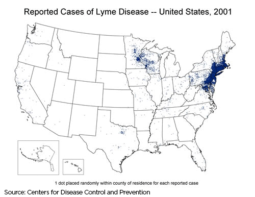 More ticks means an increase of Lyme disease across Canada — thanks to climate change - image