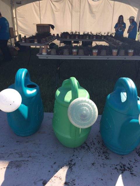 Thousands of Hamilton school kids are participating in the Children's Water Festival at Pier 4 Park this week.