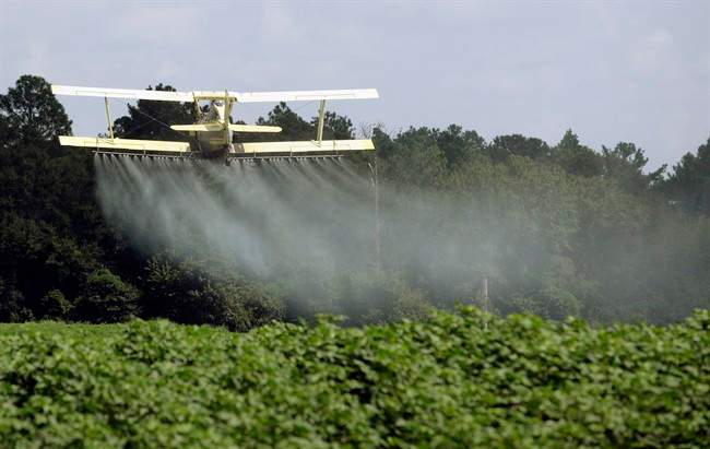 FILE - Whether spraying from the ground or the air, Manitoba producers have had a tougher time this spring due to the consistent winds over the past month.