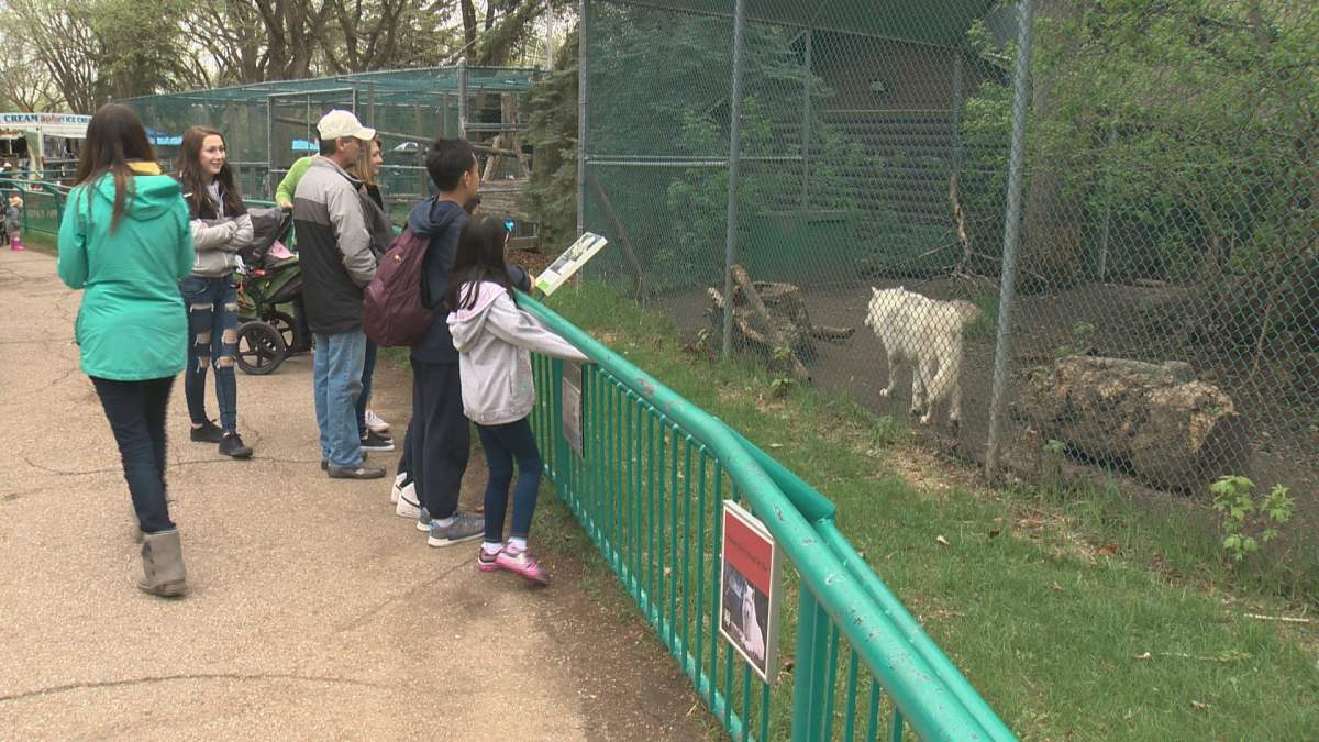 Edmonton's Valley Zoo celebrates Mother's Day.