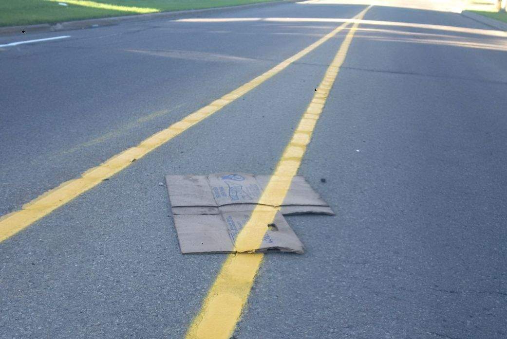 Line painting at 113 A Street between 132 and 131 avenues on Monday, June 19, 2017.