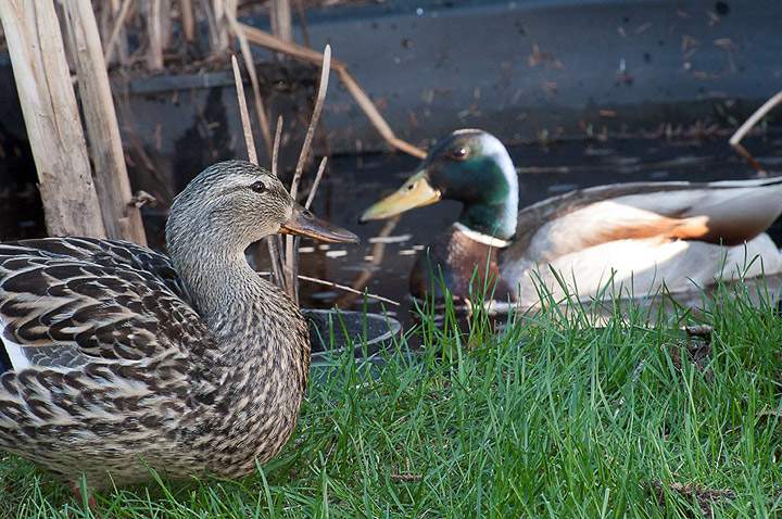 June 12: Richard Jackson took this Your Saskatchewan photo in Saskatoon.