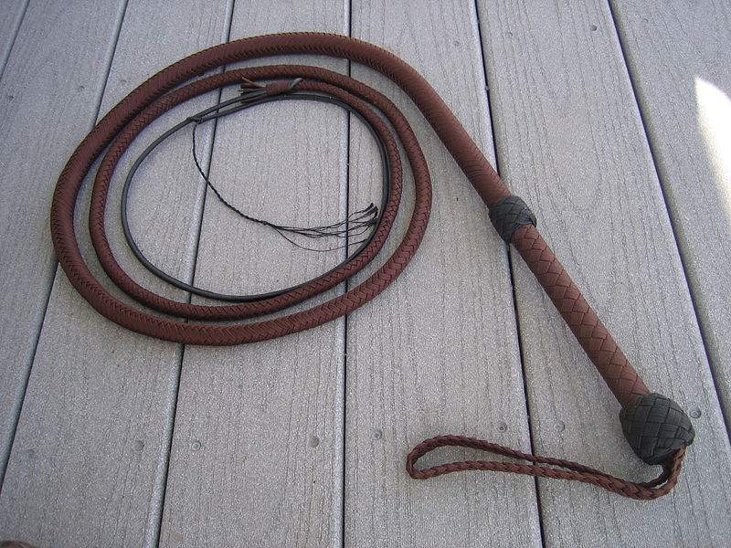 Feel free to carry on your whip.