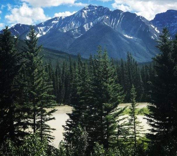 The Bow River near Johnston Canyon June 9, 2017.