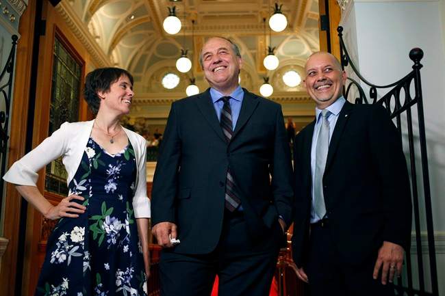 Adam Olsen named BC Green Party interim leader - image