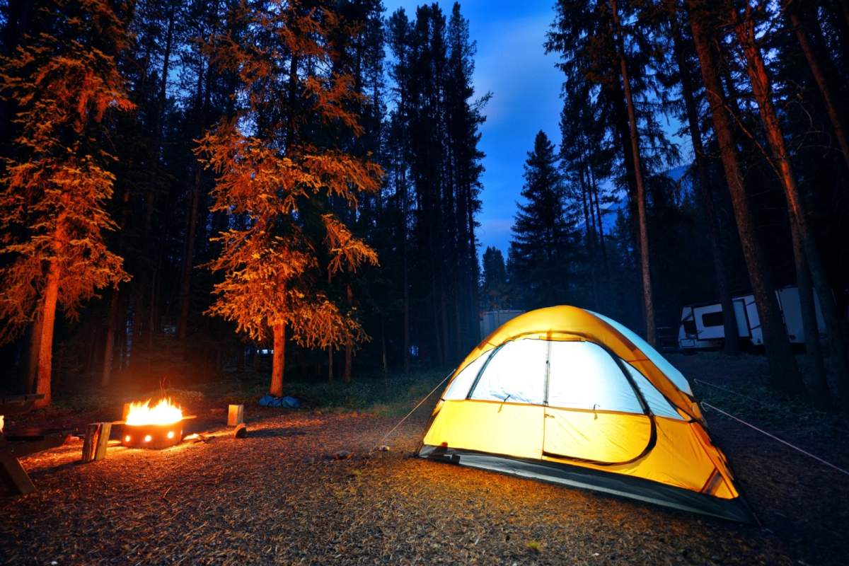 What do Canadians search for online when it comes to camping?.
