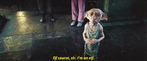 ‘Harry Potter’ 20th anniversary: 20 Potter-y things we’re thankful for - image