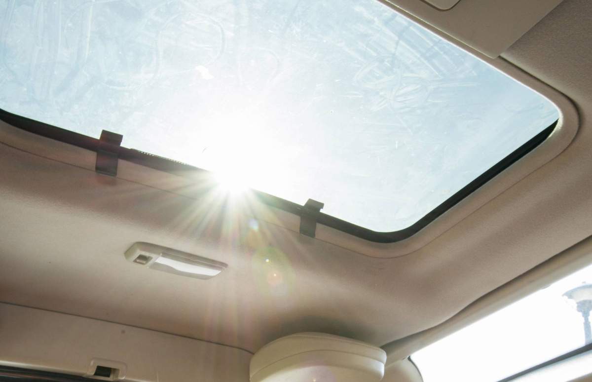 FILE: A dog sits in a car as sunlight streams in from a sunroof.