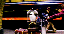 ‘Harry Potter’ 20th anniversary: 20 Potter-y things we’re thankful for - image