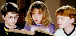 ‘Harry Potter’ 20th anniversary: 20 Potter-y things we’re thankful for - image