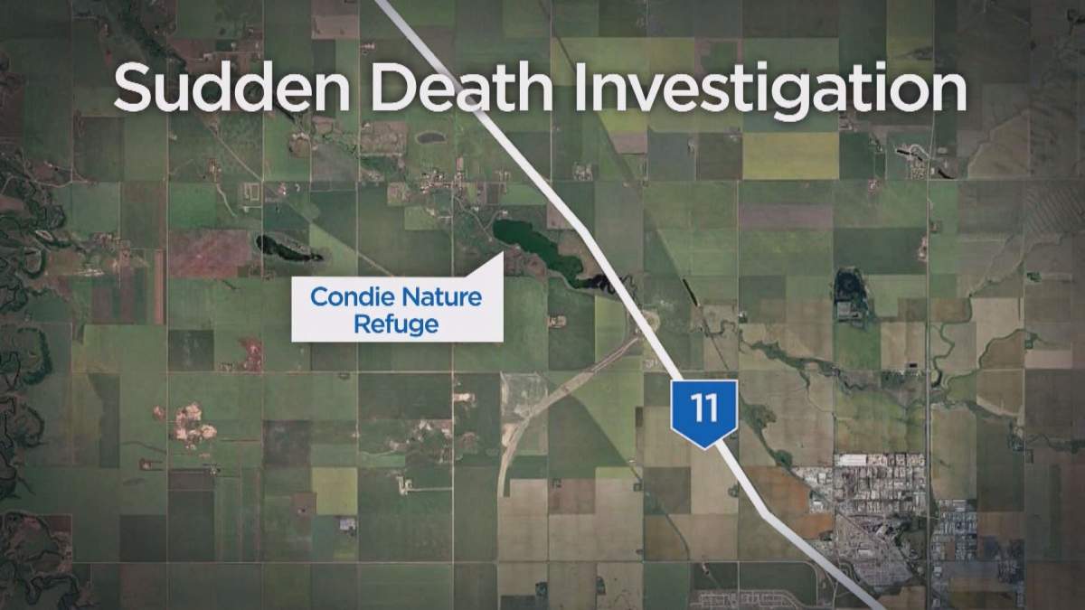 Body found northwest of Regina deemed non-suspicious by police - image