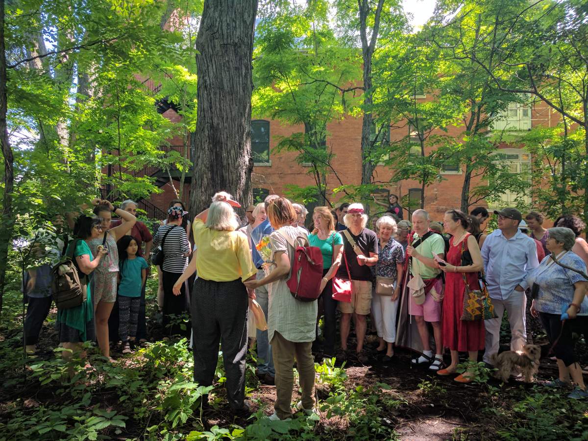 Activists gather for a demonstration at Notman Garden. June 24, 2017.