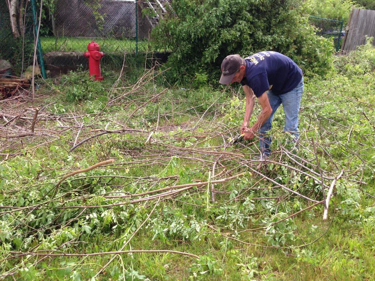 Tony Hubley works to clear thick brush off a pathway in Dartmouth on Wednesday.