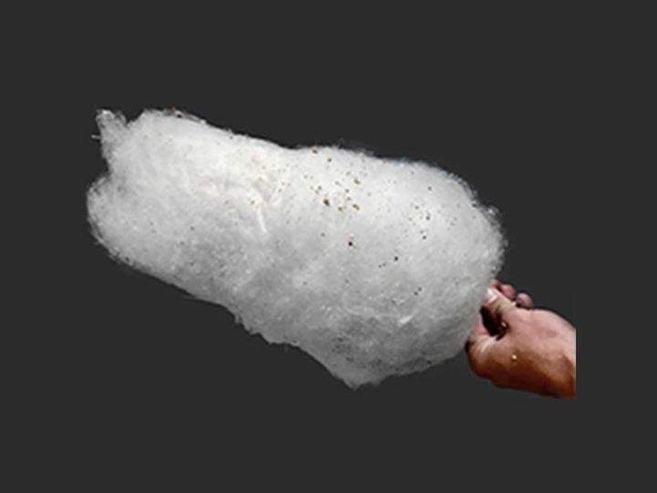 Maple walnut cotton candy on the 2017 K-Days food menu.